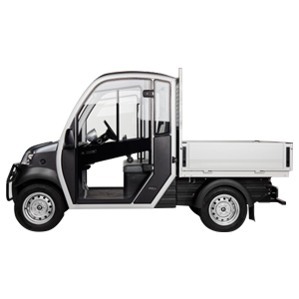Electric vehicle hire