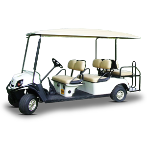4-&-6-Seat-Buggy (1) copy