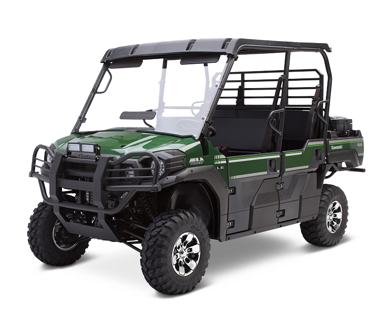 4 Seat Petrol Buggy