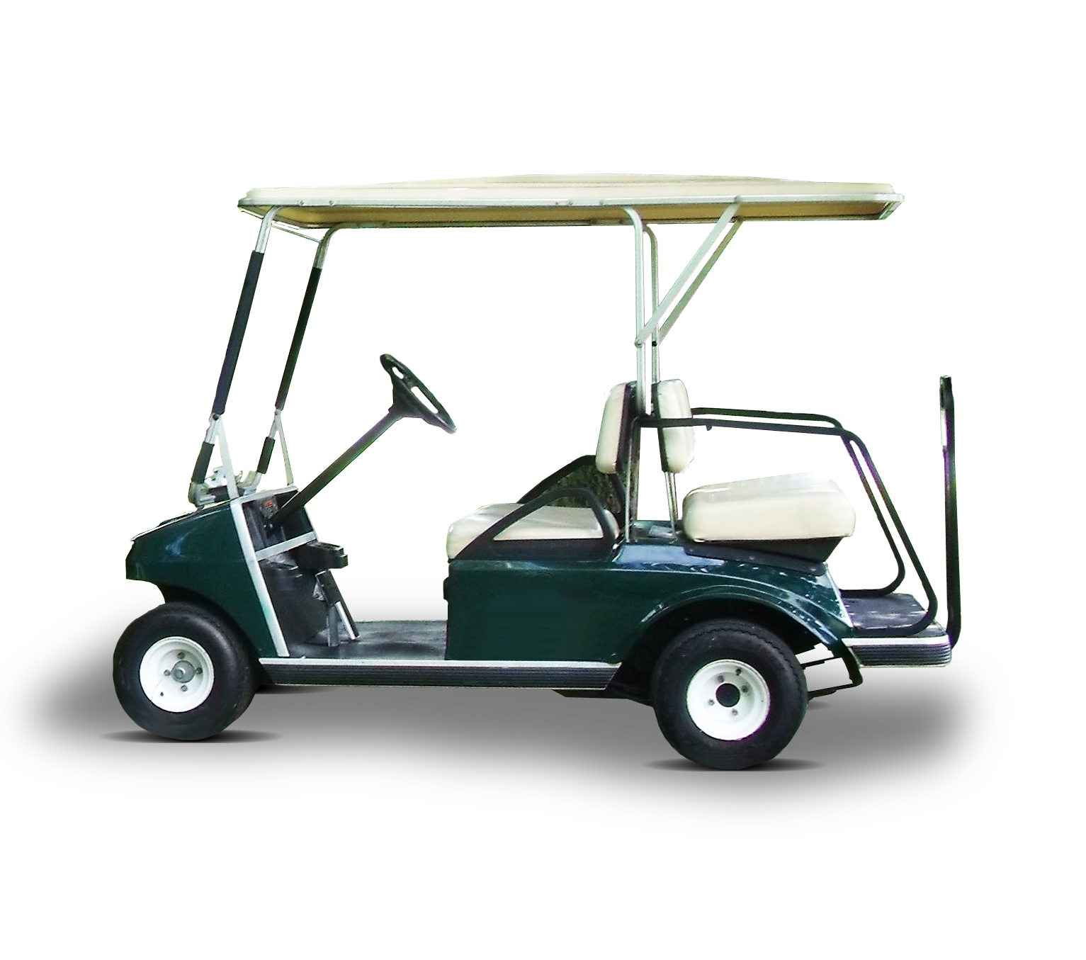 4 Seat Electric Buggy