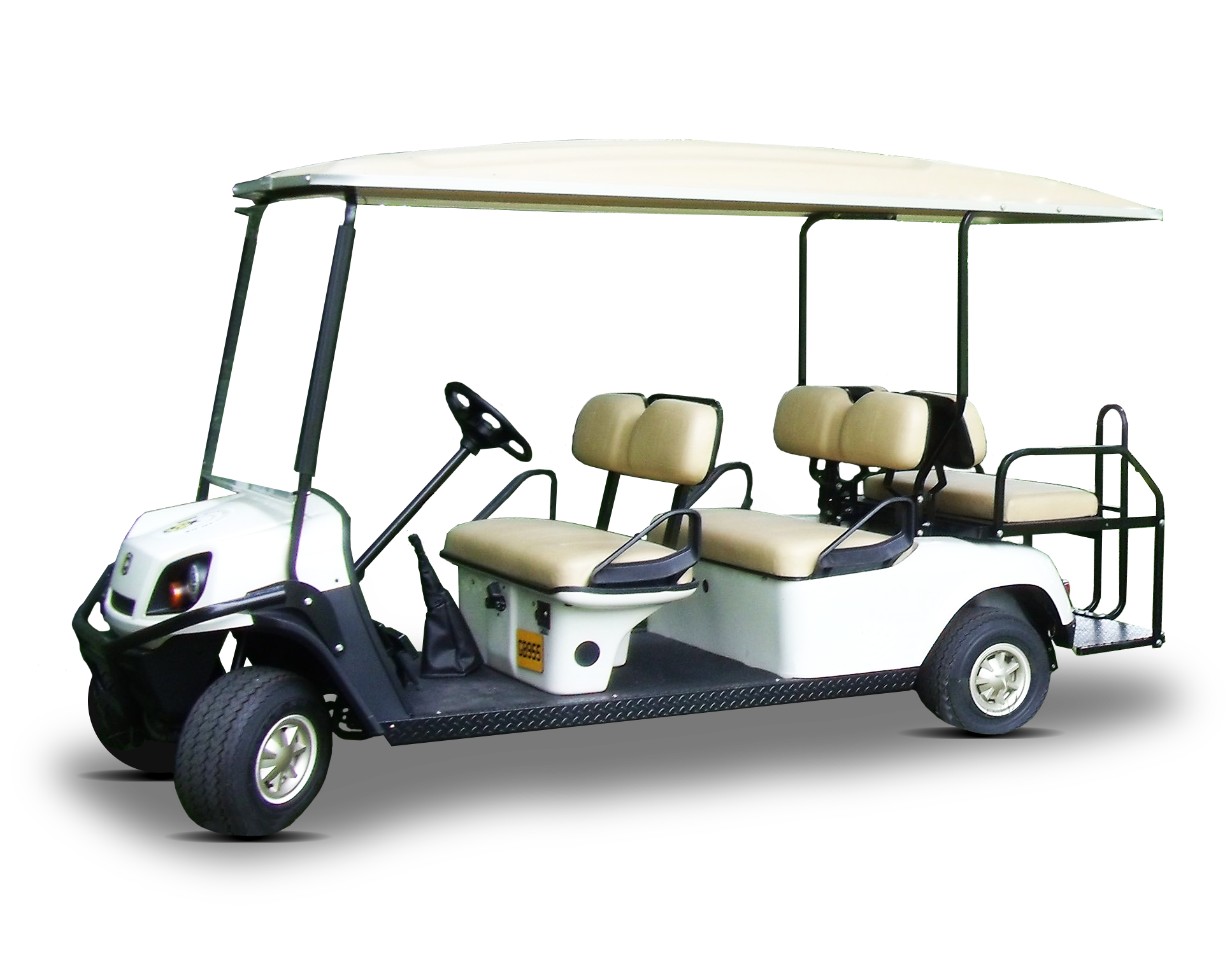 6 Seat Electric Buggy