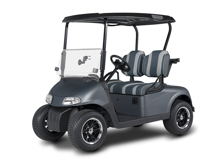 2+2 Electric Buggy