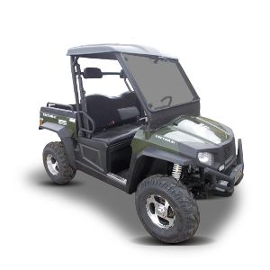 2+2 Petrol Buggy